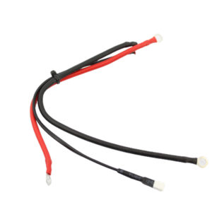 Dacor 111991 ASSY,WIRE HARNESS PWR RF